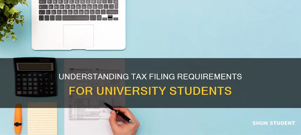 do university college students need to file taxes