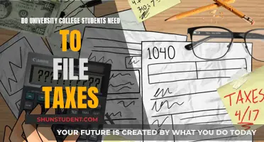 Understanding Tax Filing: A Student's Guide