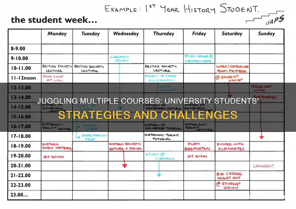 do university students 5ake multiple courses at a time