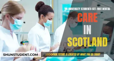 Dental Care for Scottish University Students: What's Free?