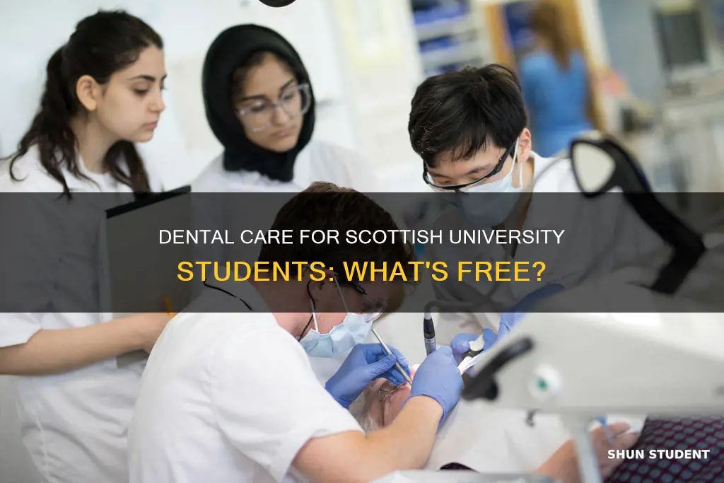 do university students get free dental care in scotland