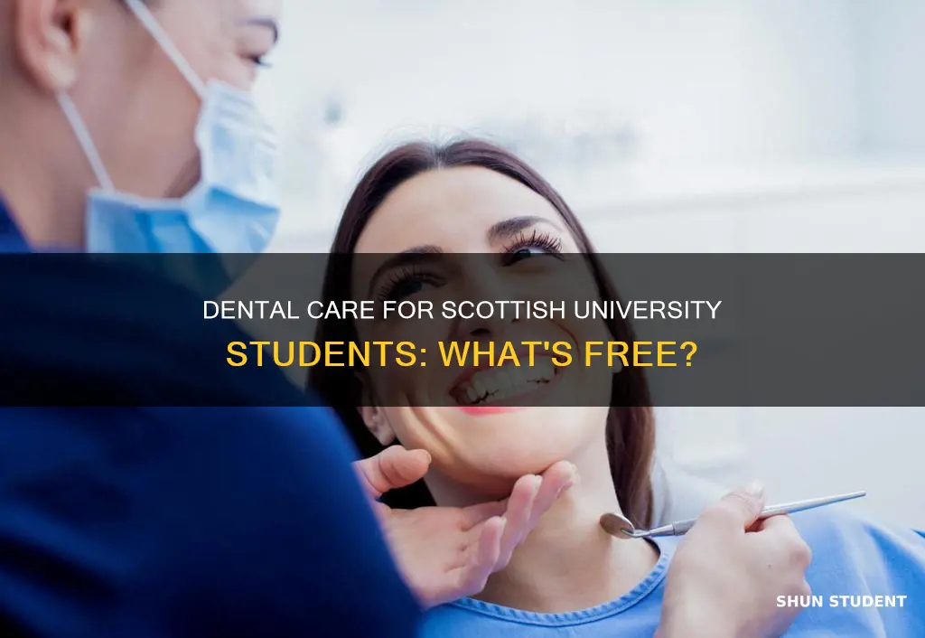 do university students get free dental care in scotland