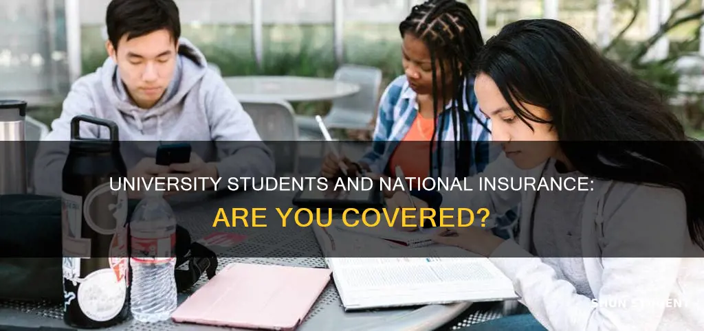 do university students get national insurance credits