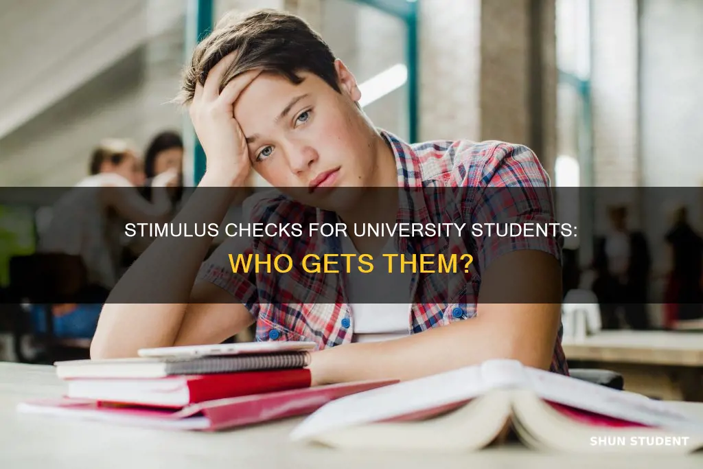 do university students get stimulus check