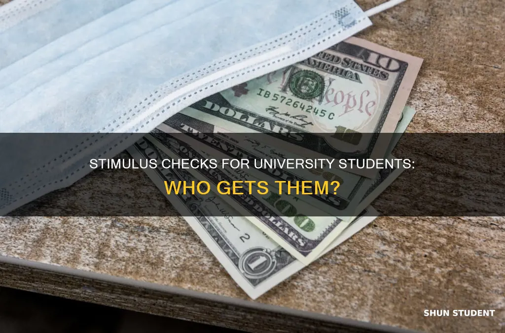 do university students get stimulus check