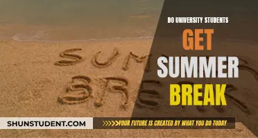 Summer Break: A University Student's Perspective