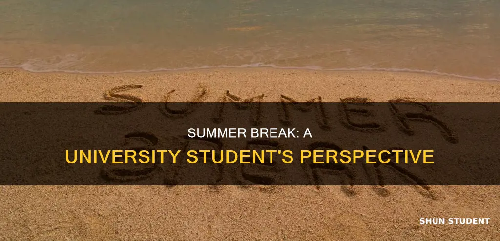 do university students get summer break