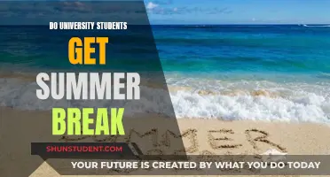 Summer Vacation: University Student's Break Time