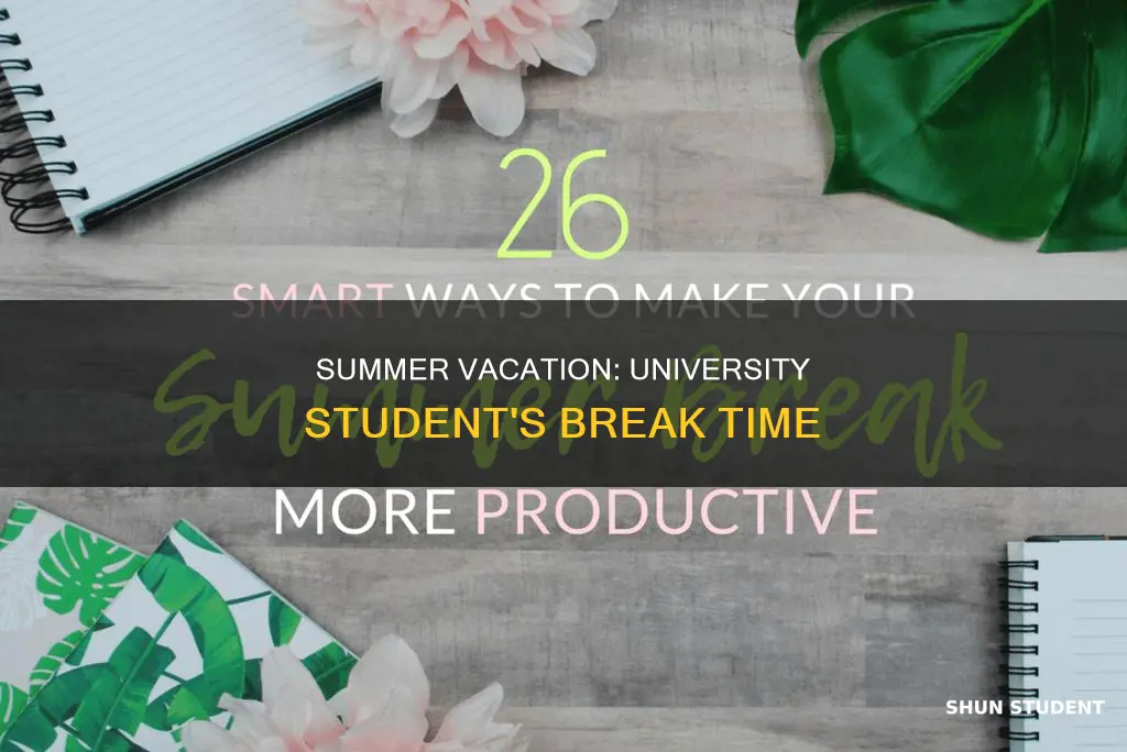 do university students get summer break