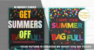 Summers Off: A University Student's Dream or Reality?
