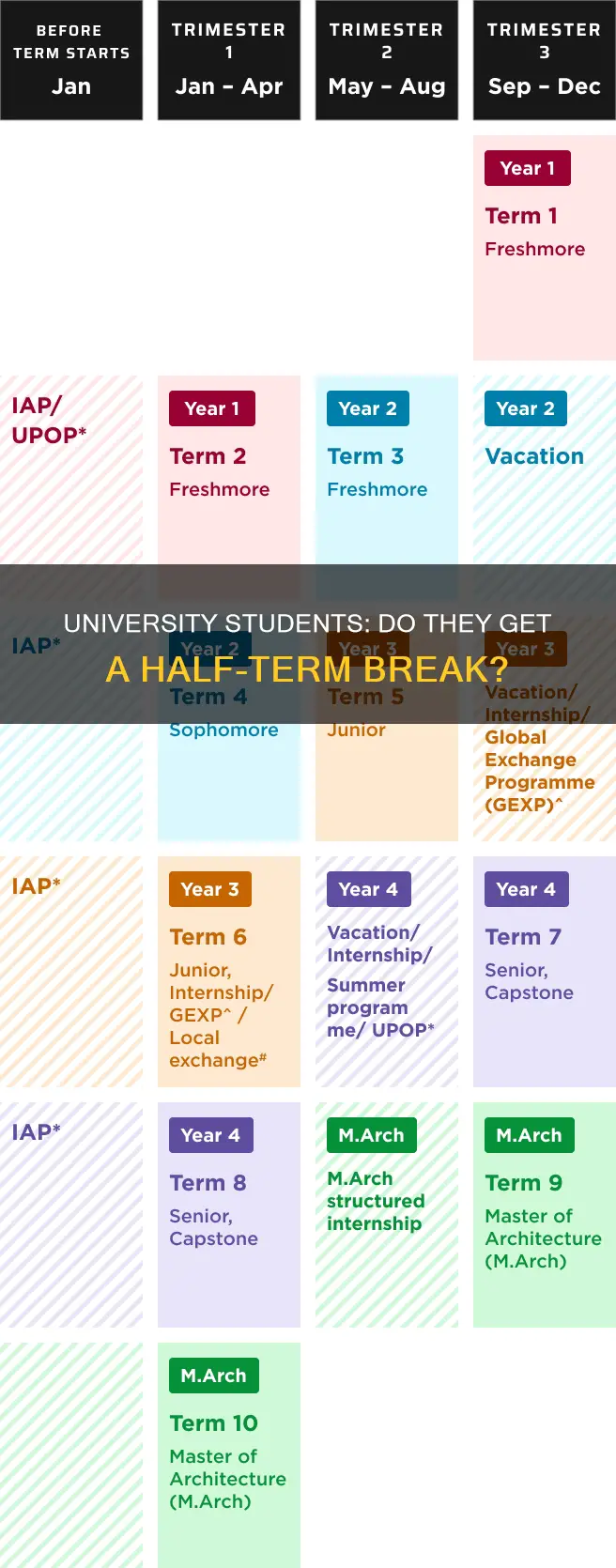 do university students have half term