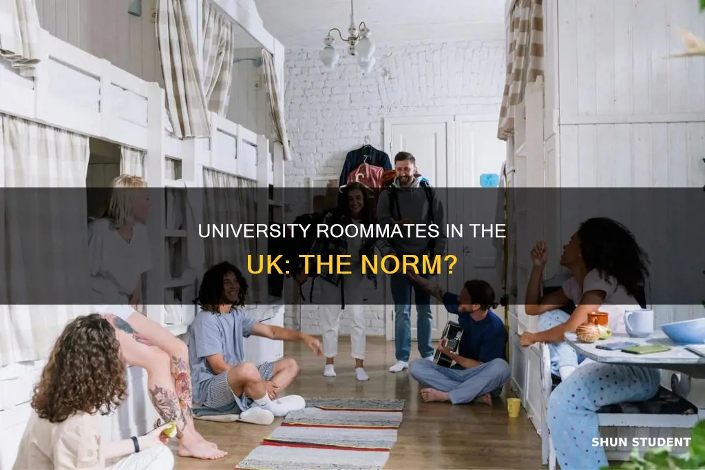 do university students have roommates in the uk