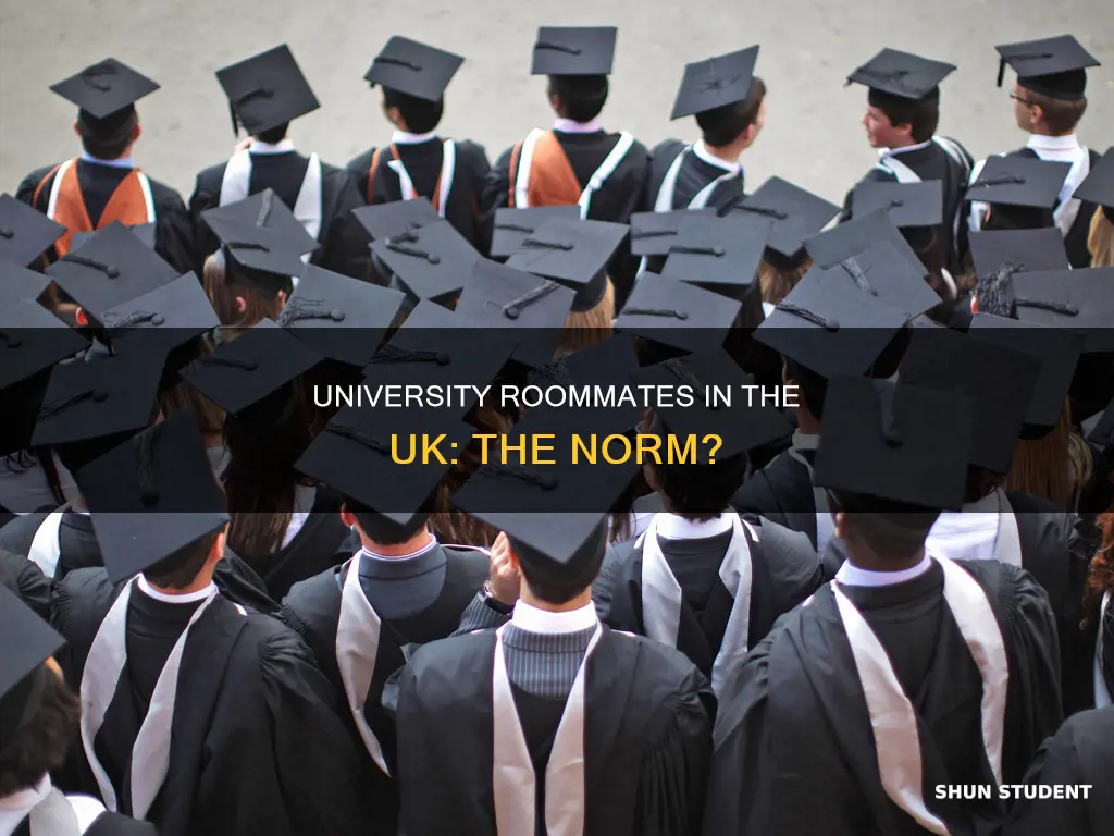 do university students have roommates in the uk