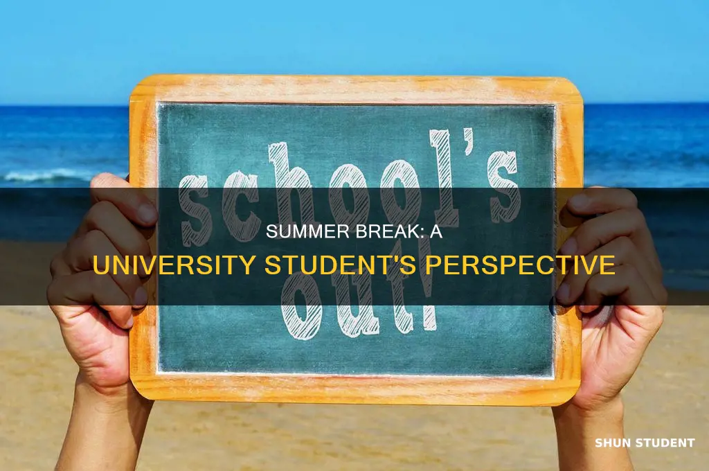 do university students have summer break