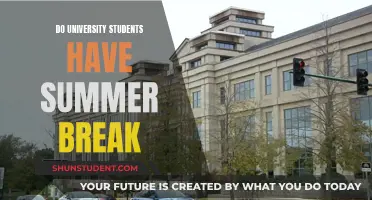 Summer Break: A University Student's Perspective