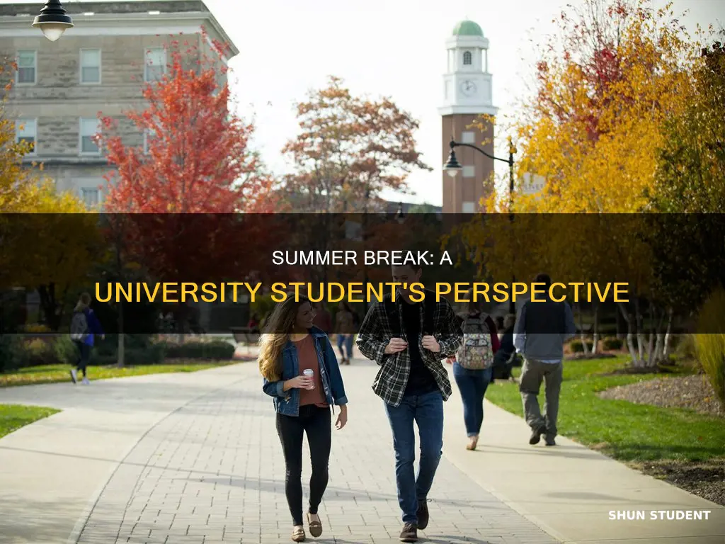 do university students have summer break