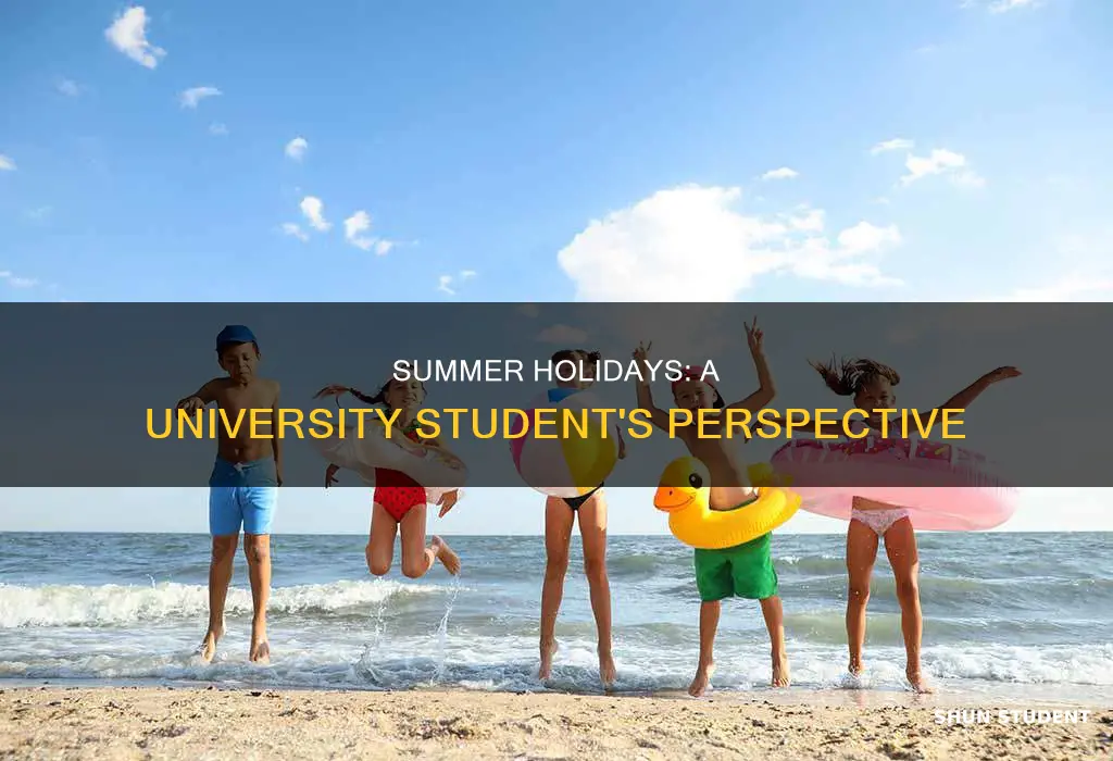 do university students have summer holidays