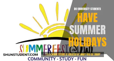 Summer Holidays: University Students' Time Off