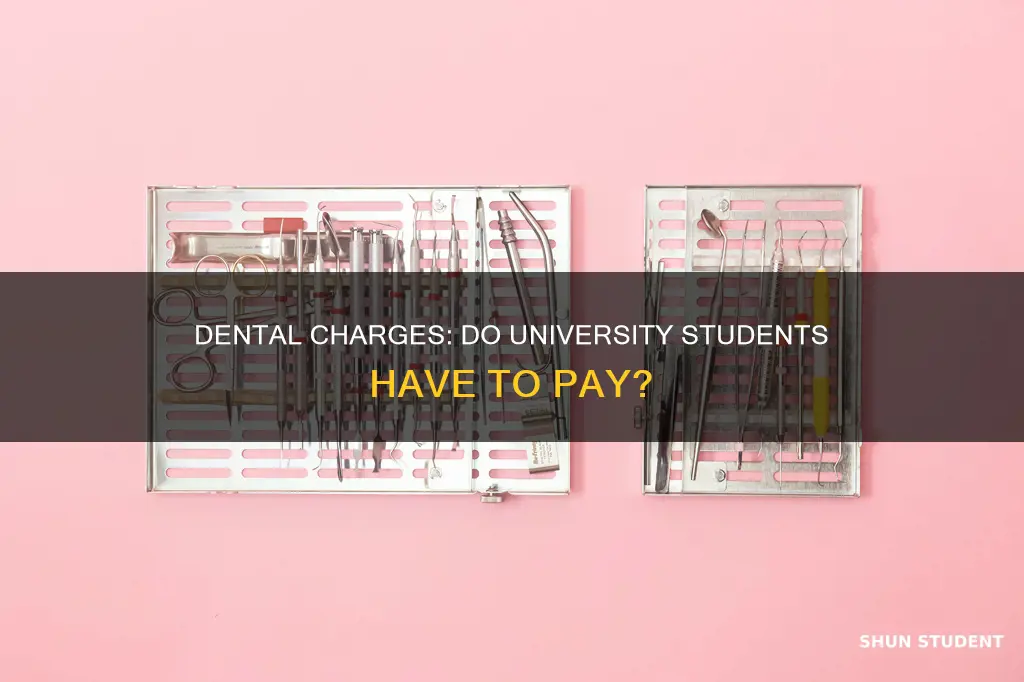 do university students have to pay dental charges