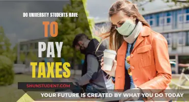 University Students and Taxes: Who Pays?