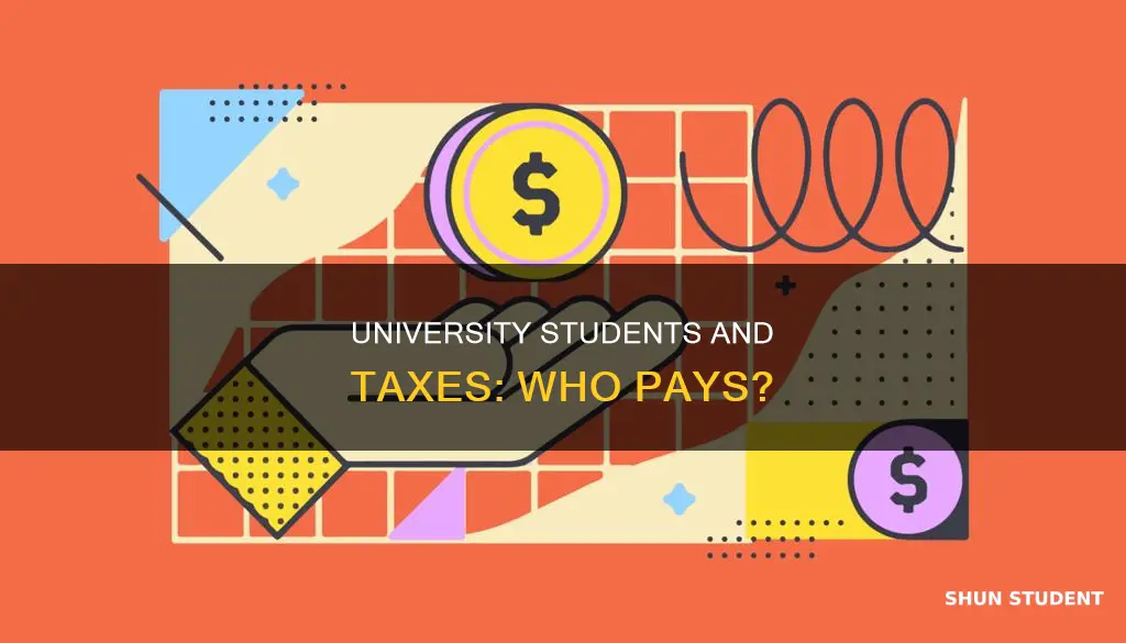 do university students have to pay taxes