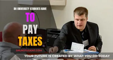 University Students and Taxes: Who Pays?