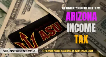 University Students and Arizona Income Tax: Who Pays?