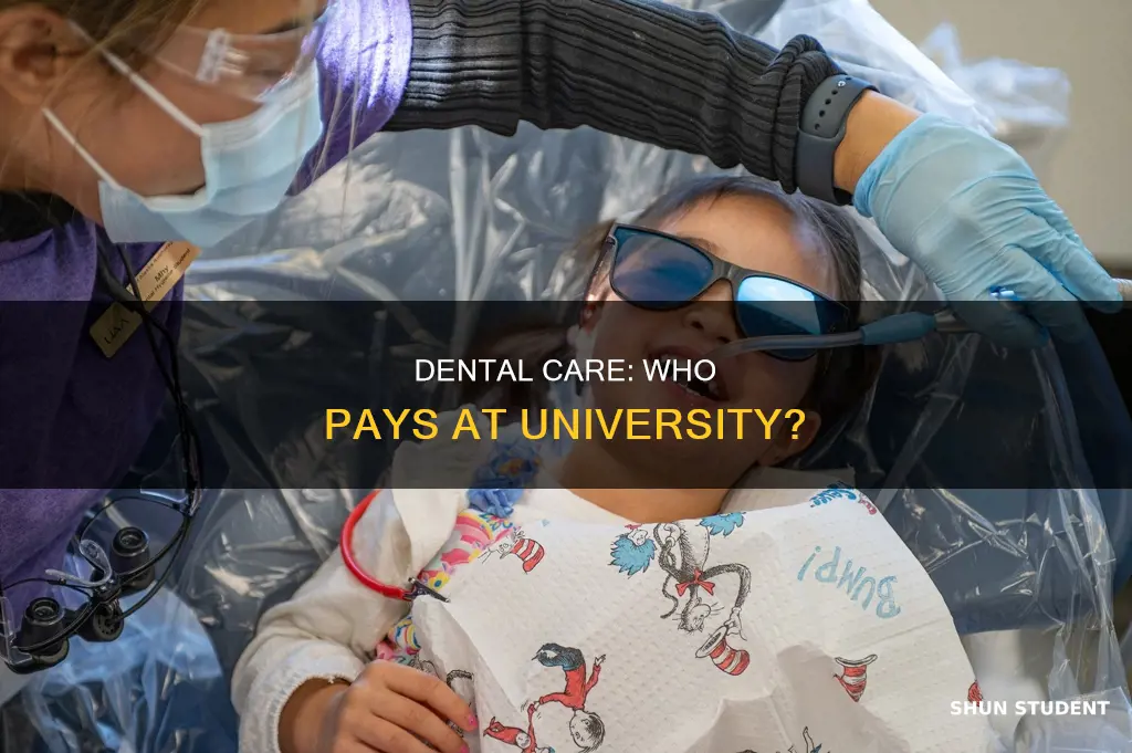 do university students pay for dental care