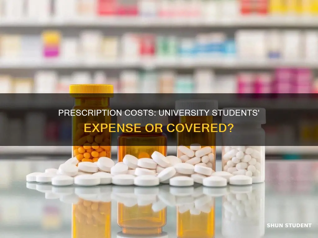 do university students pay for prescriptions
