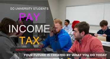 University Students and Income Tax: Who Pays?
