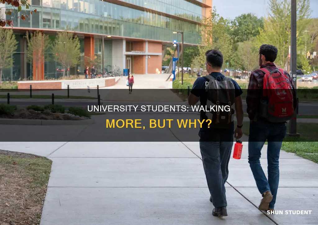 do university students walk more