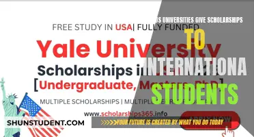 International Student Scholarships: The US University Perspective
