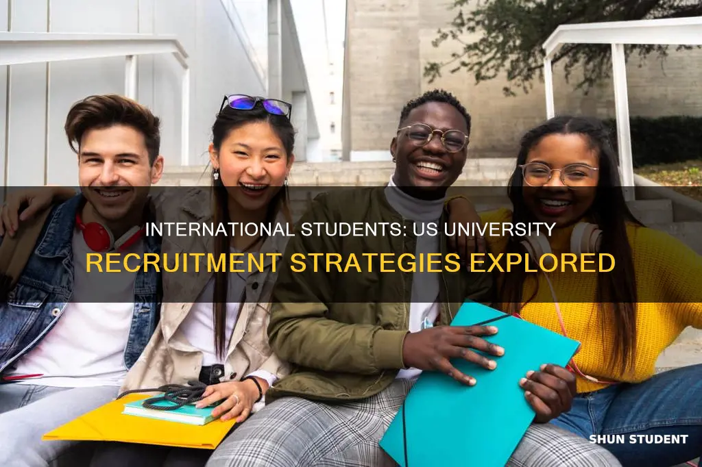 do us universities recruit international undergraduate student