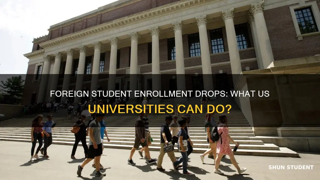 do us universities see a drop in foreign students