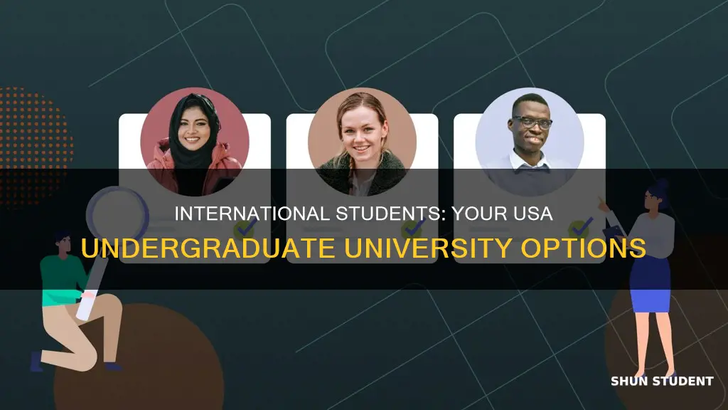 do usa university recuirte international undergraduate student