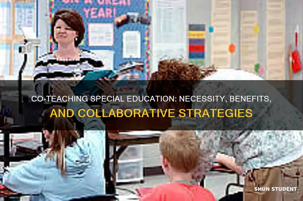 do we have to co teach special education students