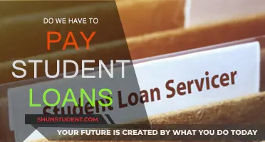 Student Loan Payment Strategies: Do You Have Options?