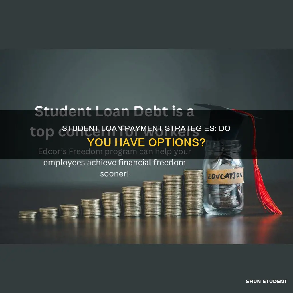 do we have to pay student loans