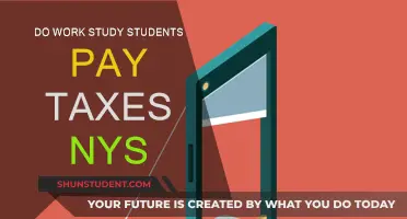 Work-Study Students: Do You Pay Taxes in New York State?