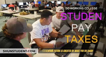 College Students: Do You Need to Pay Taxes?