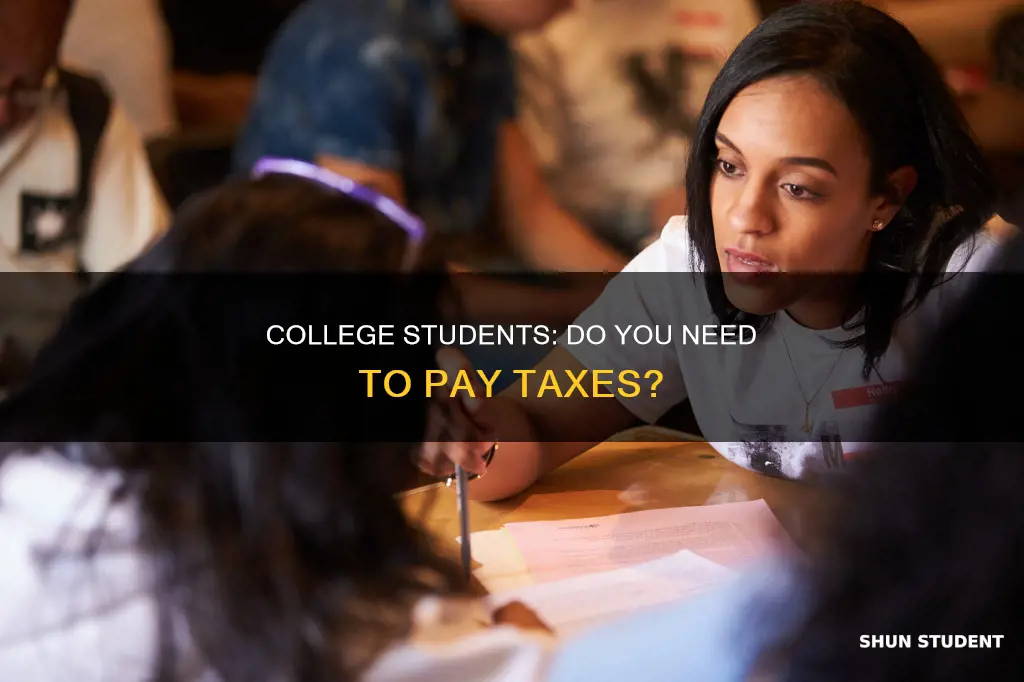 do working college students pay taxes