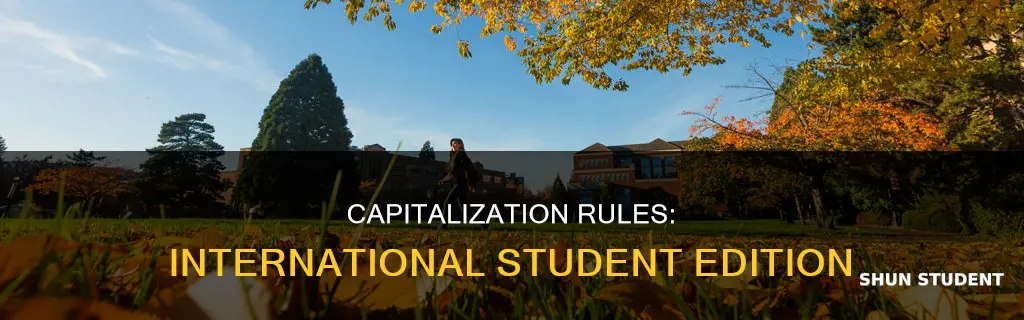 do you capitalize international student