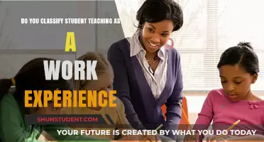 Is Student Teaching Considered Work Experience? Exploring the Debate