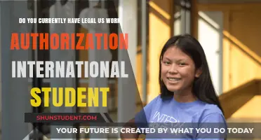 International Students: Understanding US Work Authorization