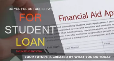 How to Manage Student Loans and Gross Pay