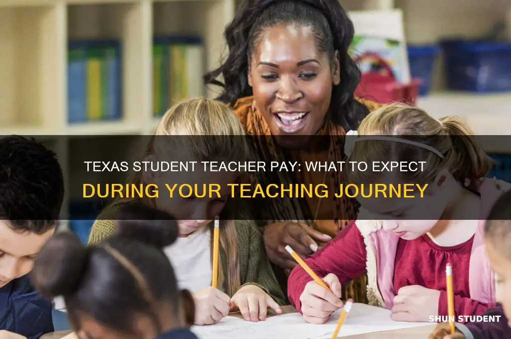 do you get paid as a student teacher texas
