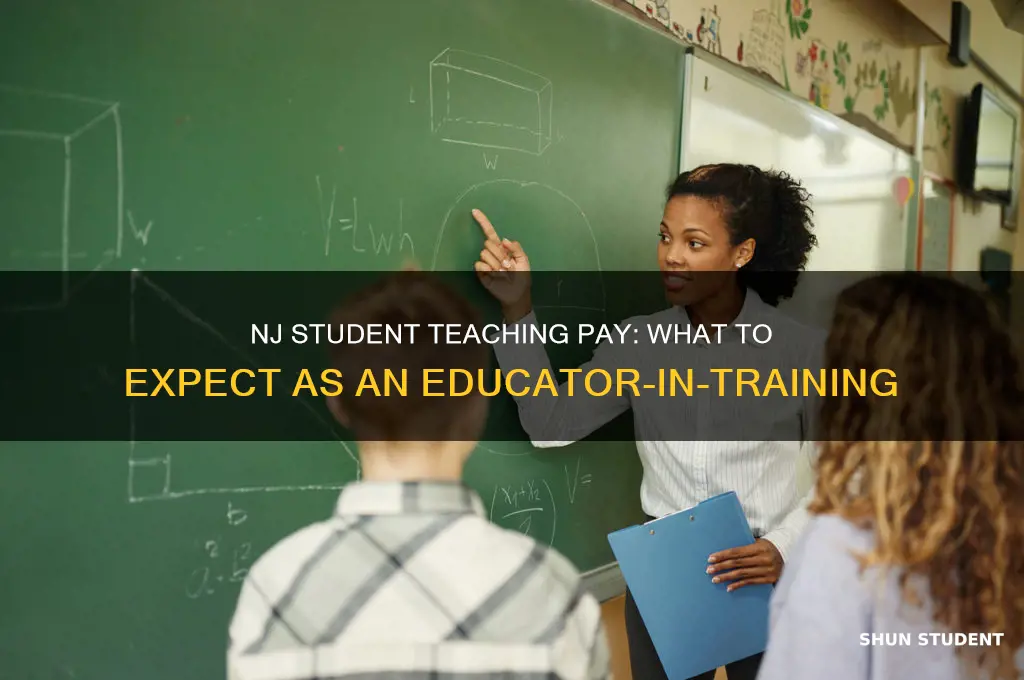 do you get paid for student teaching in nj