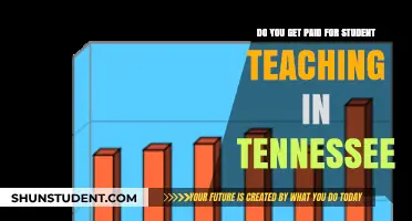 Tennessee Student Teaching Pay: What to Expect as an Educator-in-Training