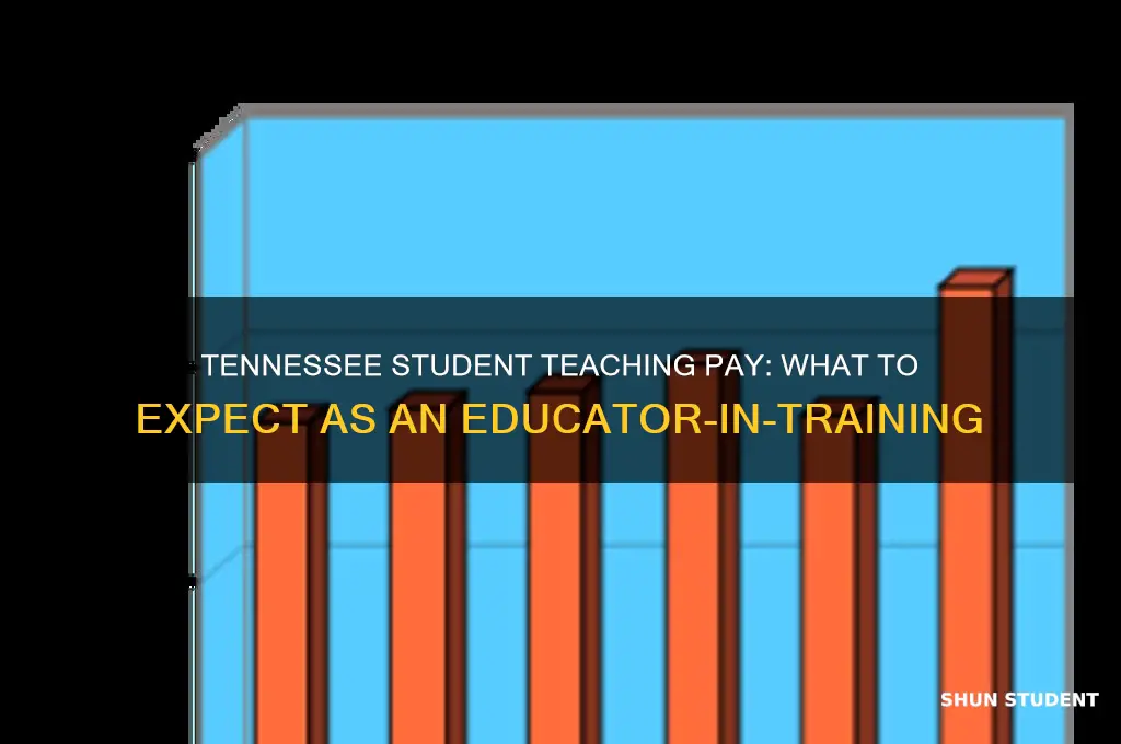 do you get paid for student teaching in tennessee