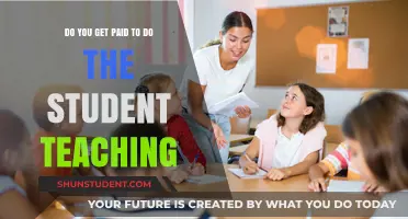 Do Student Teachers Get Paid? Exploring Compensation During Student Teaching